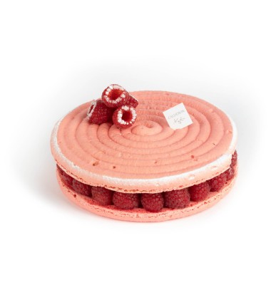Macaron framboise