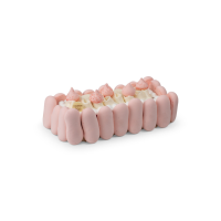 vacherin