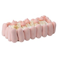 BUCHE GLACEE VACHERIN