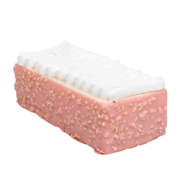 BUCHE GLACEE ARC EN CIEL