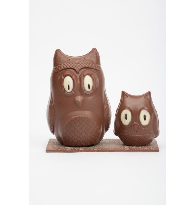 MOULAGE HIBOU